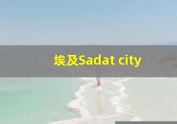 埃及Sadat city